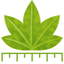 医学图像分析软件 Digimizer v6.1.1 中文汉化版-Puresys纯净系统-软件下载