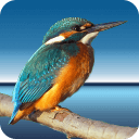 代码高亮显示工具 Highlight v4.17 绿色中文版-Puresys纯净系统-软件下载