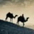 幕境(单词本生成工具) v2.6.1-Puresys纯净系统-软件下载