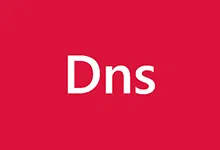 DNS快捷工具箱+轻量高性能DNS服务器 v1.0.0.27-Puresys纯净系统-软件下载
