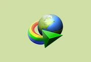 Internet Download Manager v6.42.52中文特别版(IDM)-Puresys纯净系统-软件下载